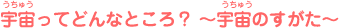 �F�����Ăǂ�ȂƂ���H�`�F���̂������`